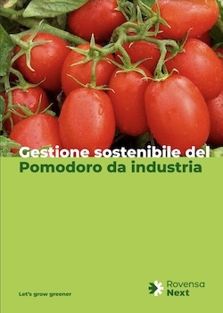 gestione-pomodoro-da-industria-fonte-rovensa-next-redazionale-maggio2024-250x350.jpg